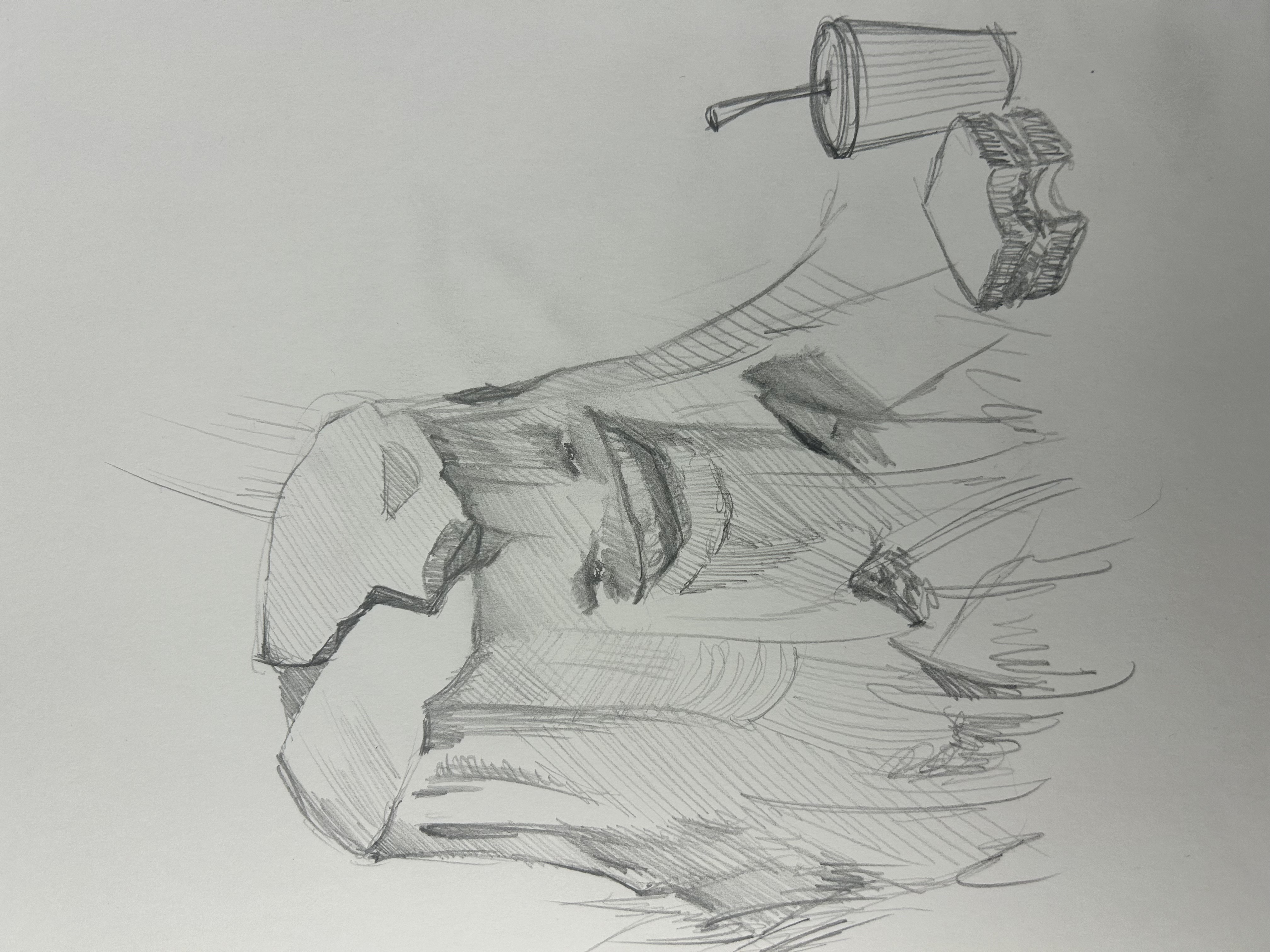 Feeling Literal Today